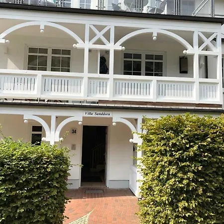 Sanddorn Binz
